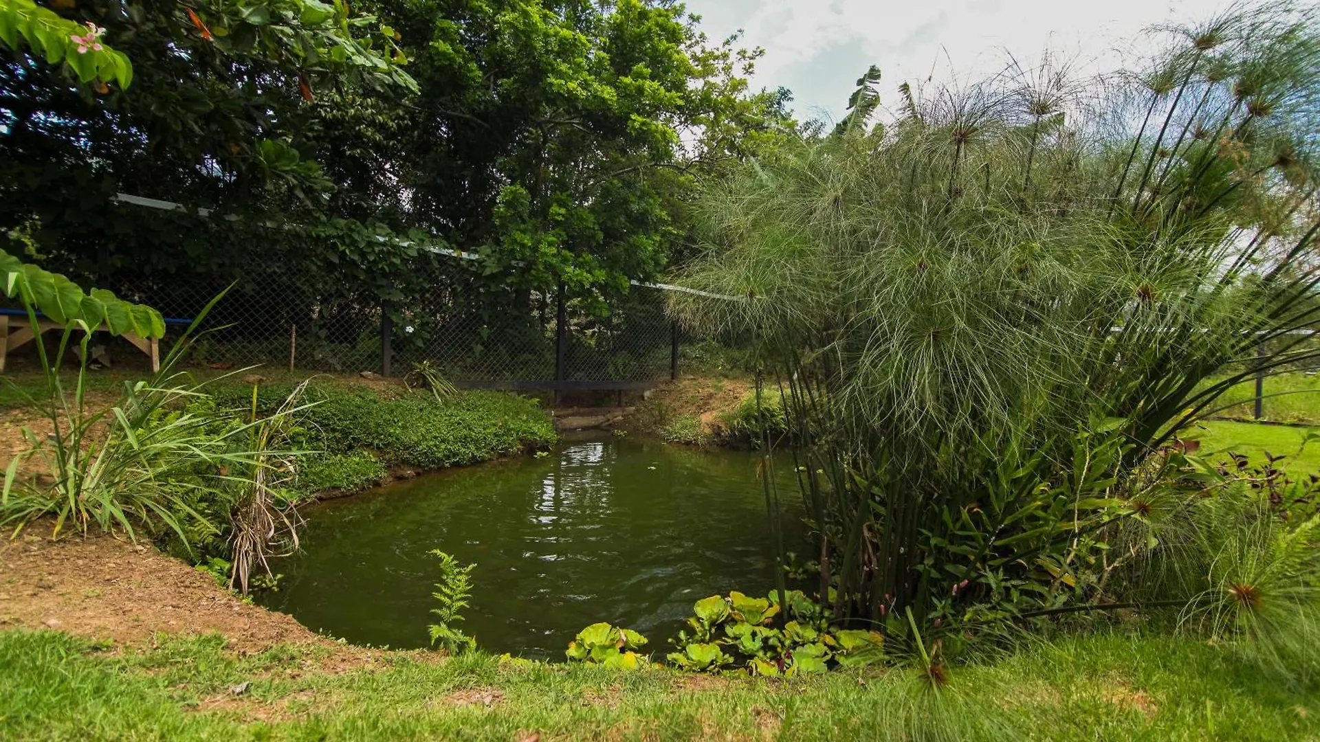 Nyaraló Blueecolandia Bungalow Agua Jarabacoa
